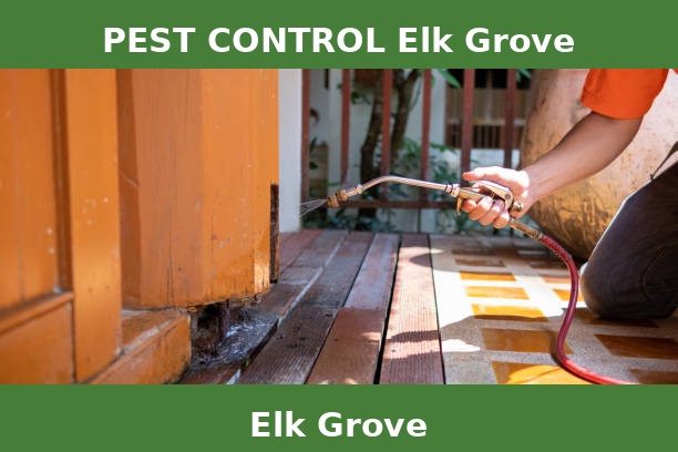 PEST CONTROL Elk Grove